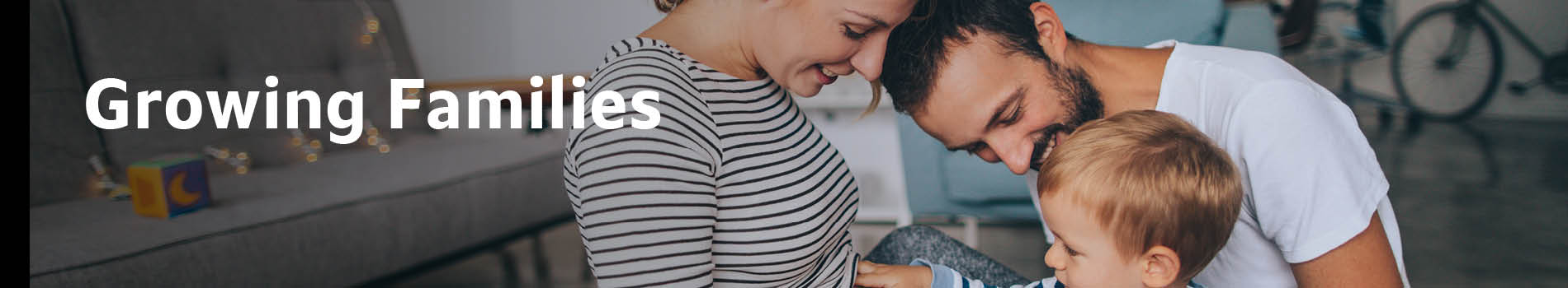 anthem new baby new life program anthem new baby new life program